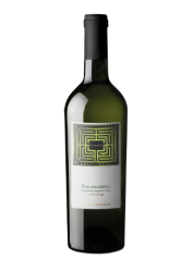 Falanghina Igt
