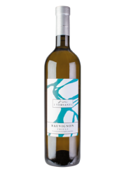 Sauvignon Friuli Grave Doc