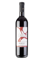 Merlot Friuli Grave Doc