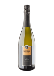 Spumante Franciacorta Docg Brut