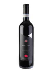 Valpolicella Classico Sup. Ripasso Aquilus DOC