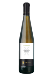 Pinot Grigio Trentino Doc
