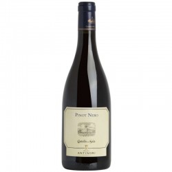 Pinot Nero della Sala