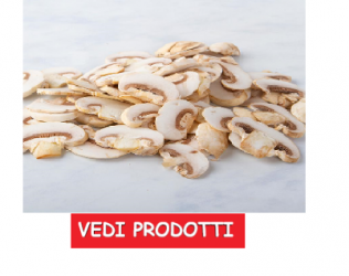 FUNGHI